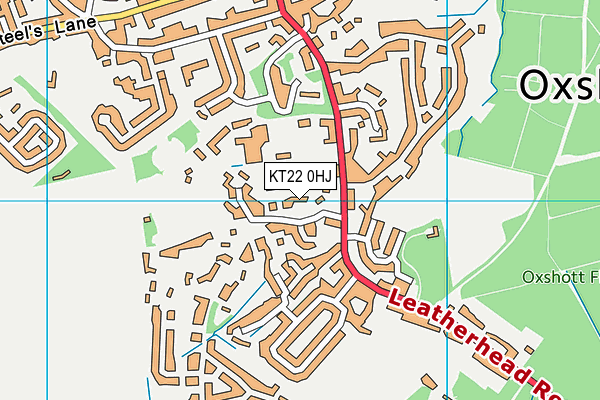 KT22 0HJ map - OS VectorMap District (Ordnance Survey)