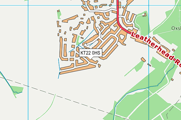 KT22 0HS map - OS VectorMap District (Ordnance Survey)