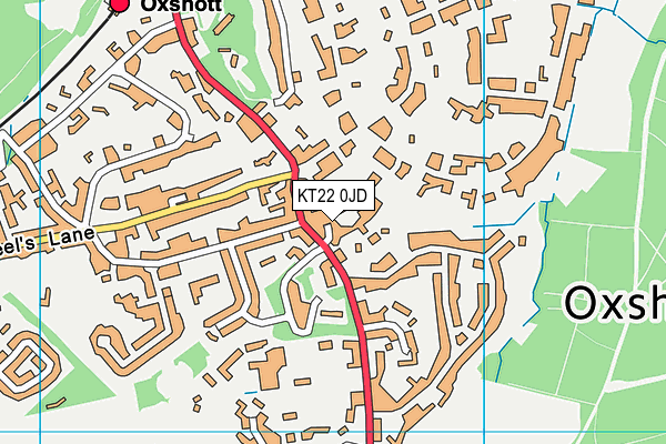 KT22 0JD map - OS VectorMap District (Ordnance Survey)