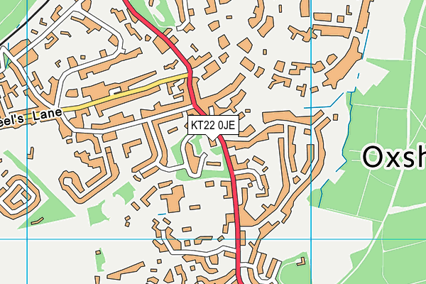 KT22 0JE map - OS VectorMap District (Ordnance Survey)