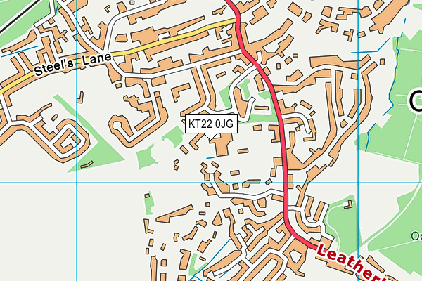 Danes Hill School map (KT22 0JG) - OS VectorMap District (Ordnance Survey)