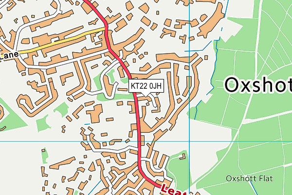 KT22 0JH map - OS VectorMap District (Ordnance Survey)