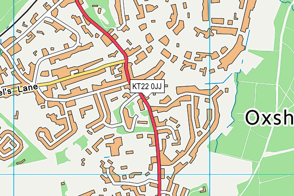 KT22 0JJ map - OS VectorMap District (Ordnance Survey)