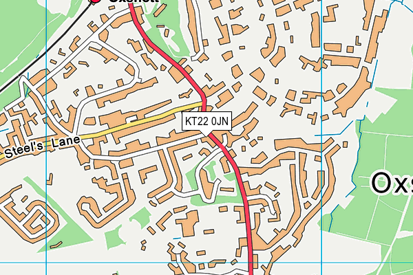 KT22 0JN map - OS VectorMap District (Ordnance Survey)