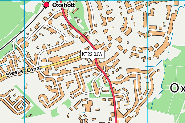 KT22 0JW map - OS VectorMap District (Ordnance Survey)