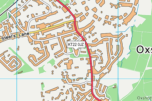 KT22 0JZ map - OS VectorMap District (Ordnance Survey)