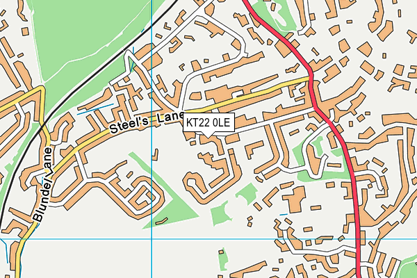 The Royal Kent CofE Primary School map (KT22 0LE) - OS VectorMap District (Ordnance Survey)