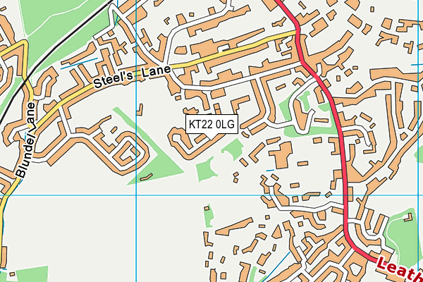 KT22 0LG map - OS VectorMap District (Ordnance Survey)