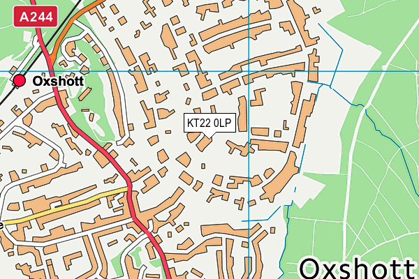 KT22 0LP map - OS VectorMap District (Ordnance Survey)