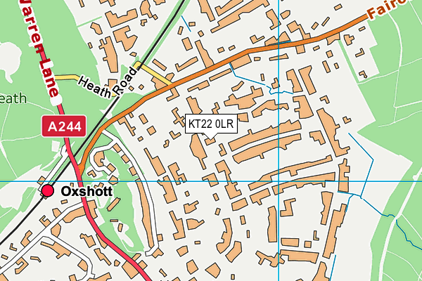 KT22 0LR map - OS VectorMap District (Ordnance Survey)