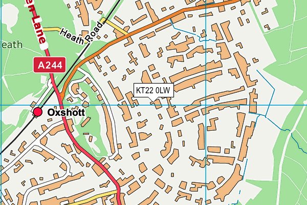 KT22 0LW map - OS VectorMap District (Ordnance Survey)