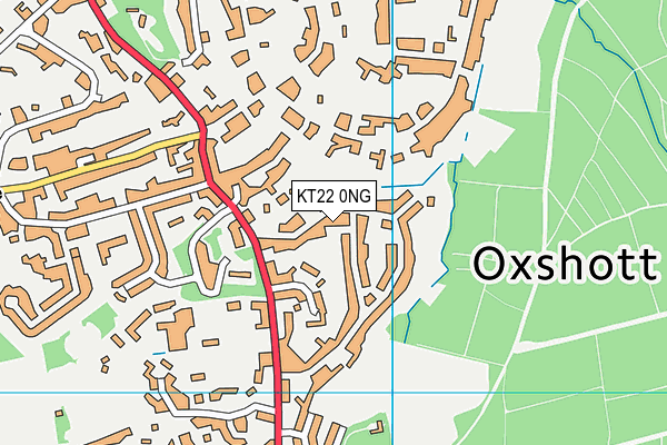 KT22 0NG map - OS VectorMap District (Ordnance Survey)