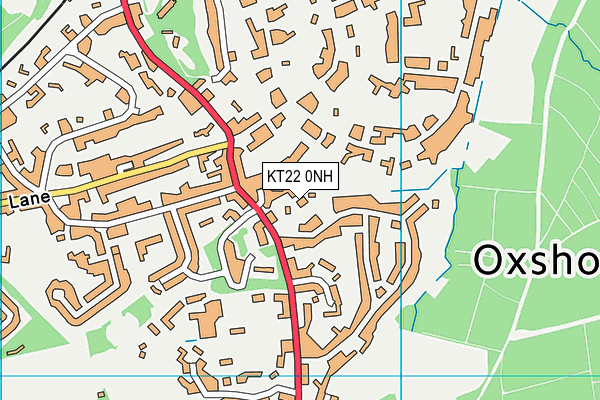 KT22 0NH map - OS VectorMap District (Ordnance Survey)