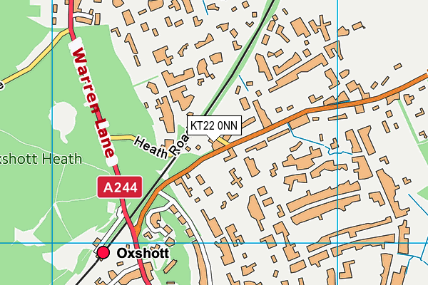 KT22 0NN map - OS VectorMap District (Ordnance Survey)