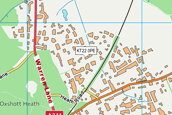 KT22 0PE map - OS VectorMap District (Ordnance Survey)