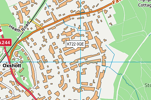 KT22 0QE map - OS VectorMap District (Ordnance Survey)