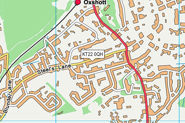 KT22 0QH map - OS VectorMap District (Ordnance Survey)