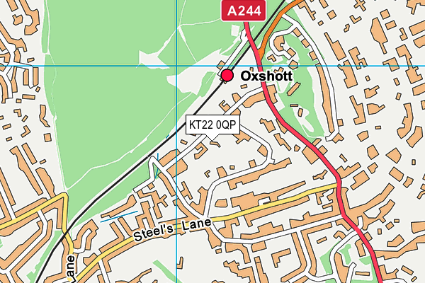 KT22 0QP map - OS VectorMap District (Ordnance Survey)