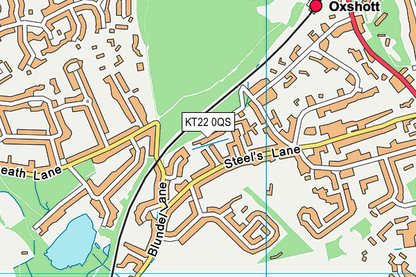 KT22 0QS map - OS VectorMap District (Ordnance Survey)