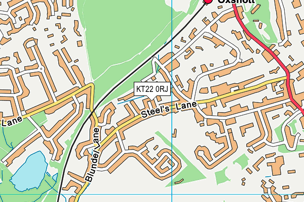 KT22 0RJ map - OS VectorMap District (Ordnance Survey)