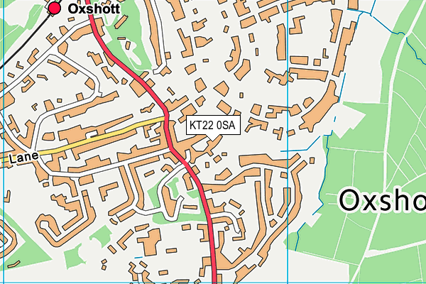 KT22 0SA map - OS VectorMap District (Ordnance Survey)
