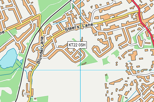 KT22 0SH map - OS VectorMap District (Ordnance Survey)