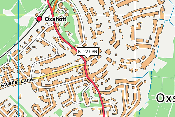 KT22 0SN map - OS VectorMap District (Ordnance Survey)