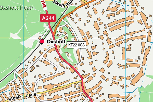 KT22 0SS map - OS VectorMap District (Ordnance Survey)