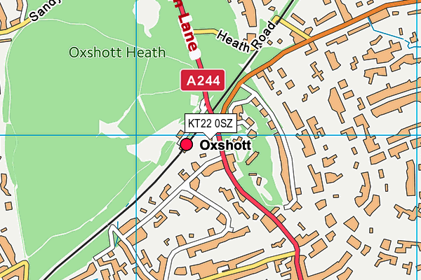 KT22 0SZ map - OS VectorMap District (Ordnance Survey)