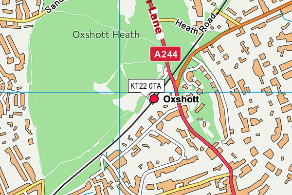 KT22 0TA map - OS VectorMap District (Ordnance Survey)