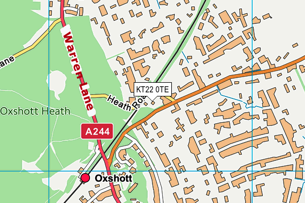 KT22 0TE map - OS VectorMap District (Ordnance Survey)