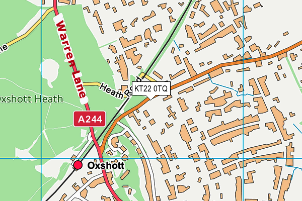 KT22 0TQ map - OS VectorMap District (Ordnance Survey)