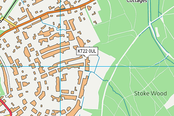 KT22 0UL map - OS VectorMap District (Ordnance Survey)