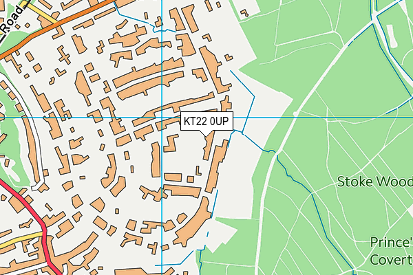 KT22 0UP map - OS VectorMap District (Ordnance Survey)