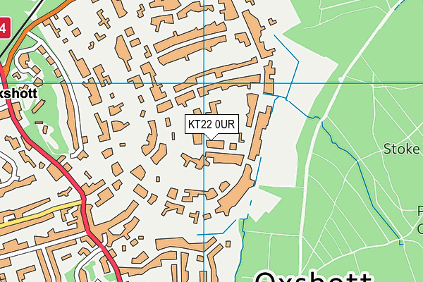 KT22 0UR map - OS VectorMap District (Ordnance Survey)