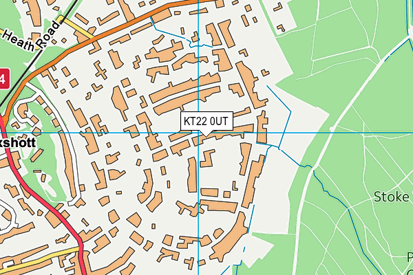 KT22 0UT map - OS VectorMap District (Ordnance Survey)