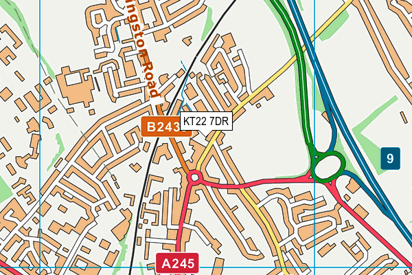 KT22 7DR map - OS VectorMap District (Ordnance Survey)