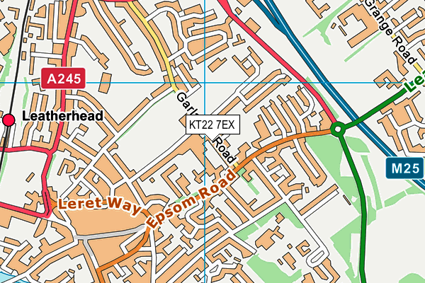 KT22 7EX map - OS VectorMap District (Ordnance Survey)