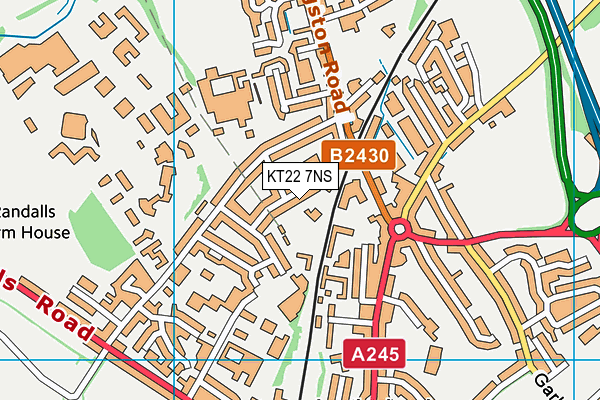 KT22 7NS map - OS VectorMap District (Ordnance Survey)