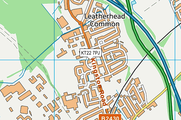 KT22 7PJ map - OS VectorMap District (Ordnance Survey)