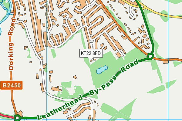 KT22 8FD map - OS VectorMap District (Ordnance Survey)