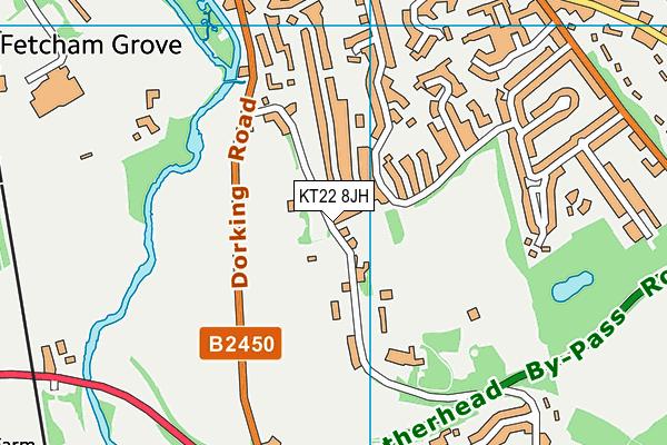 KT22 8JH map - OS VectorMap District (Ordnance Survey)