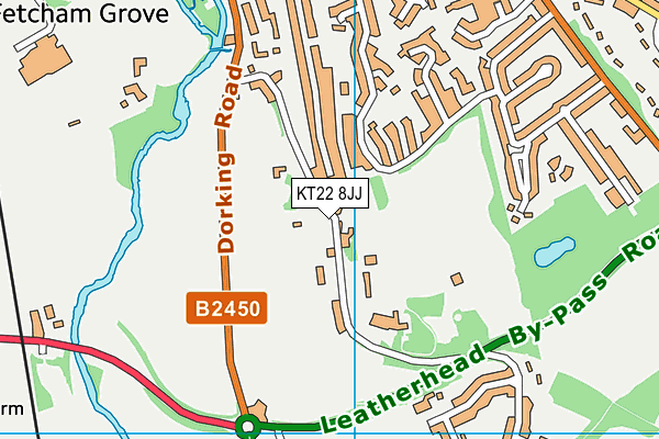 KT22 8JJ map - OS VectorMap District (Ordnance Survey)