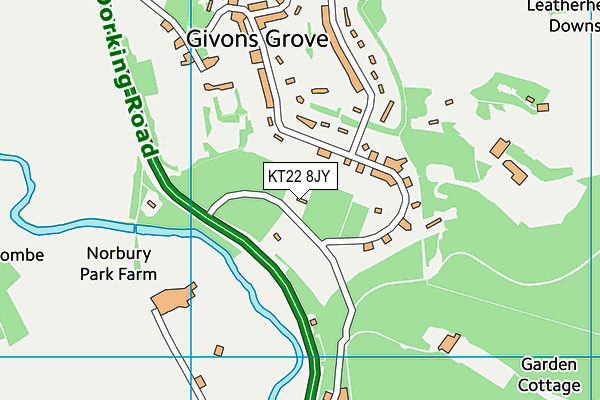 KT22 8JY map - OS VectorMap District (Ordnance Survey)