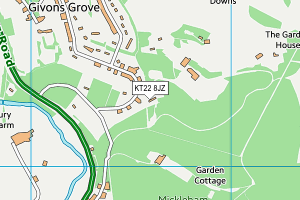 KT22 8JZ map - OS VectorMap District (Ordnance Survey)