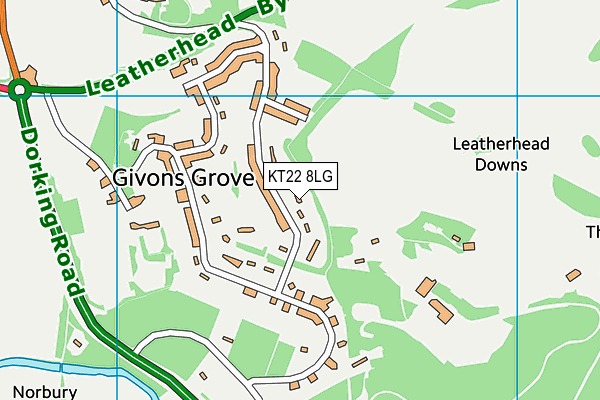 KT22 8LG map - OS VectorMap District (Ordnance Survey)