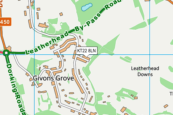 KT22 8LN map - OS VectorMap District (Ordnance Survey)