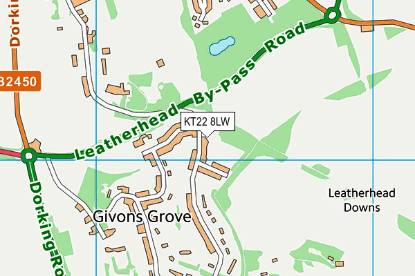 KT22 8LW map - OS VectorMap District (Ordnance Survey)