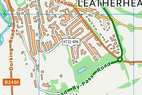 KT22 8PA map - OS VectorMap District (Ordnance Survey)