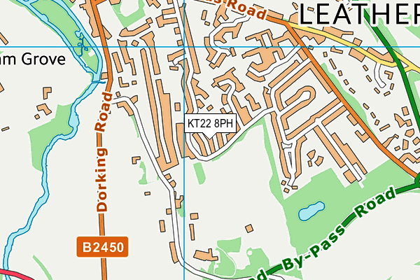 KT22 8PH map - OS VectorMap District (Ordnance Survey)